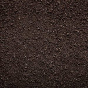 Regular Screened Soil